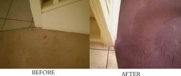 Carpet Dyeing and Carpet Cleaning in Boston - Products - DYE-RITE Carpet  Systems of N.E.